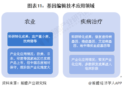 华大CEO尹烨：人类寿命有望延长至150岁，中国人均寿命已从不足39岁提升至近80岁【附基因编辑行业市场分析】