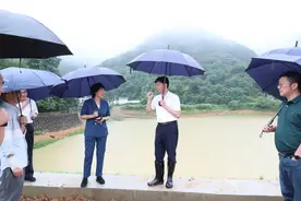 市领导来衢江区督导防汛工作图片