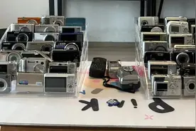 突然爆火！年轻人“新宠”现身合肥街头图片