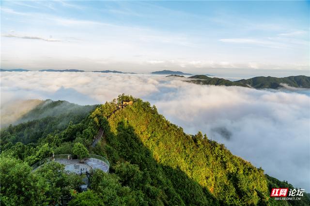 【每日一图@湖南】神仙在团建？靖州飞山惊现“云海茶话会”