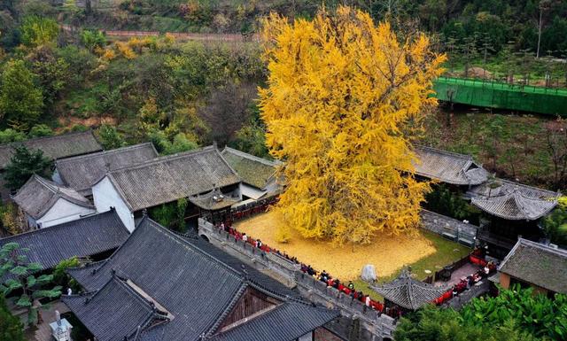 祖国秋景美到啥程度？处处是绝色大片！