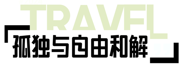 绝美出片打卡地！一棵全泰安最孤独的树，就在这里……