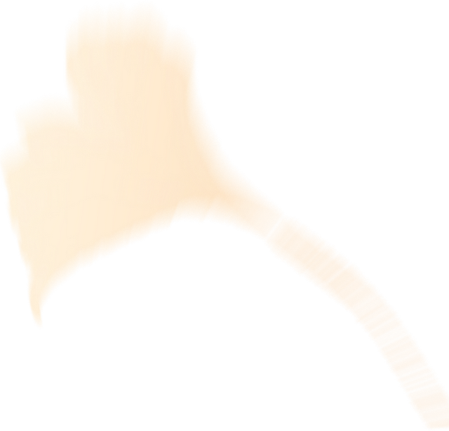 域见上海·域见奉贤｜奉浦秋日限定！这三条宝藏路线，承包所有秋日浪漫，刷爆朋友圈就靠它