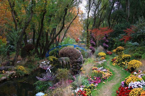 漫步这座“莫奈花园”，邂逅申城油画里的秋天