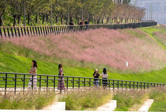 大城之治·重庆地标⑥｜江滩公园：从乱石滩蝶变“顶流”打卡地