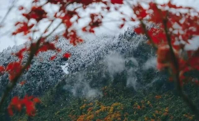 明天，到大邑“奔县”去！