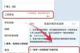 一个细节可能决定退税还是补税：错过亏大了图片