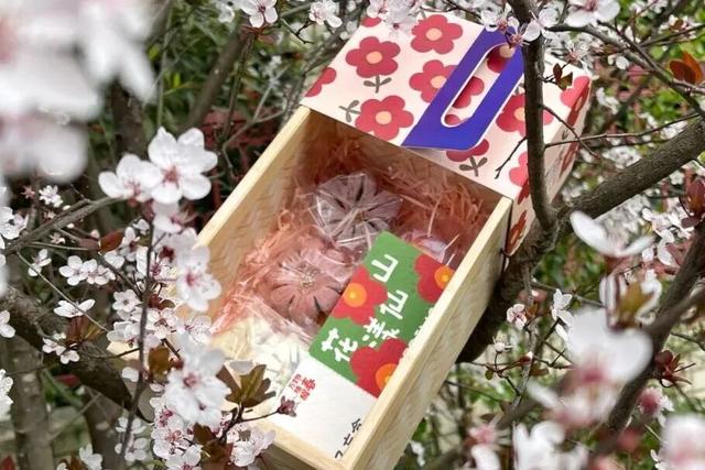 定了！彭州“村糖会”系列活动重磅来袭！跨年、新春、探春……承包你一年的甜蜜