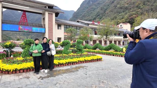 不是花中偏爱菊，此花开尽更无花！保康五道峡景区菊开成海