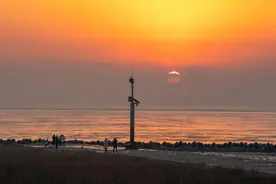 “到上海看海”走红之后：野生的需求，关掉它，还是呵护它？图片