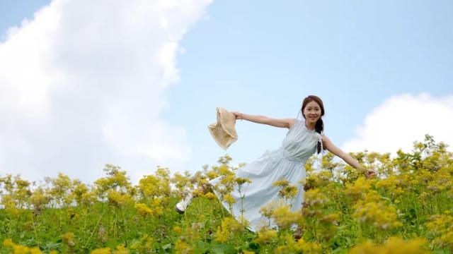 灌阳宝盖山藏不住了！夏天的山野，全是摇曳的小黄花