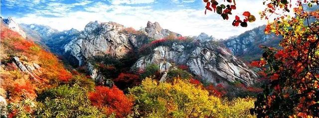嵩山红叶预告，第一波惊艳正在上线！