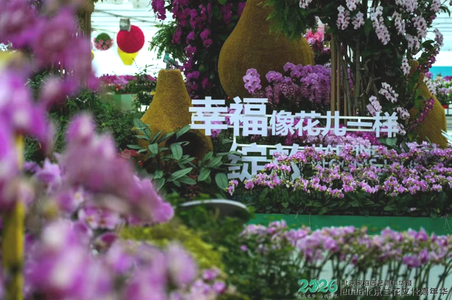 必打卡！昌平年味C位，第二届白浮泉庙会来了