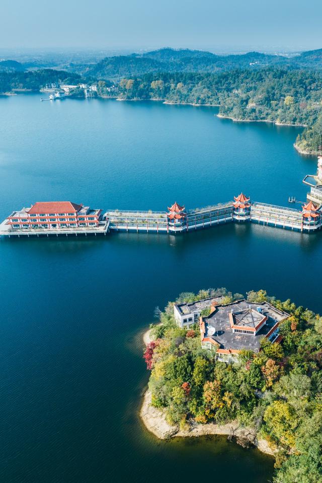 别去日本了！新洲的“同款”风景，美得更懂你