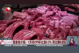 国家统计局： 1月份CPI环比涨0.3% 同比降0.8% 出行需求增加 机票和旅游价格涨幅明显视频封面