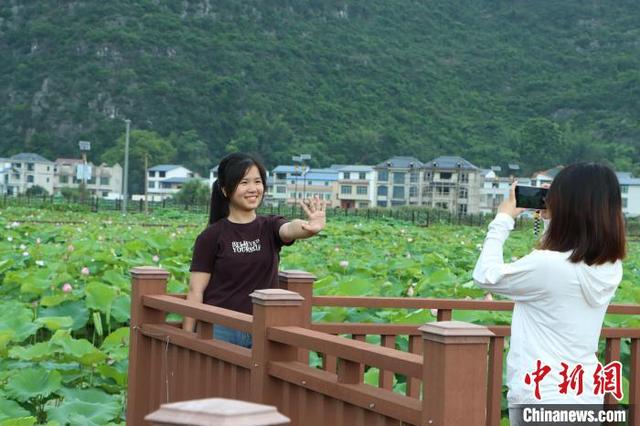 广西柳州：盛夏荷韵引游人