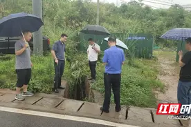永定区阳湖坪街道：以“汛”为令 逆“雨”而行图片