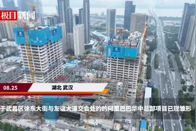 阿里巴巴华中总部现雏形图片