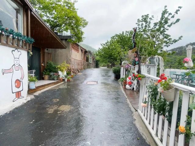 假期来青岛，避开人海，悠游田园~