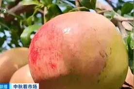 时令水果迎销售“小高峰” 云南昭通软籽石榴大受欢迎图片