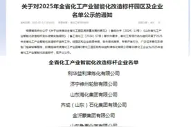 好消息！全市唯一 山东省泰安市岱岳区泰安汉威集团有限公司成功入选省级化工产业智能化改造标杆企业图片