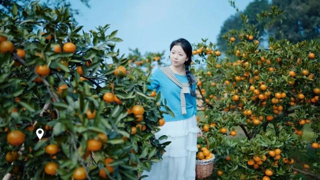 组个“橘” “宜”起“都”来解锁新乐趣→