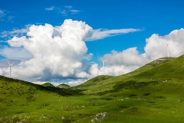 走！跟着央视热播剧，打卡毕节