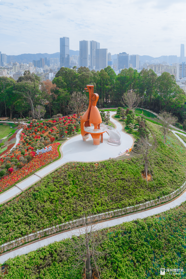 先睹为快！深圳巨型新地标启用，就在明天！