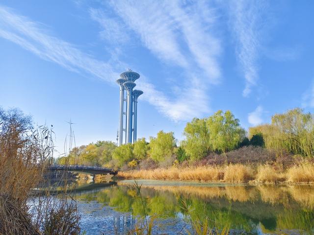 秋深冬浅时，奥森浸染缤纷色彩