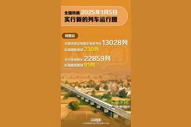 新图来了！全国铁路客货运输能力再跃升图片