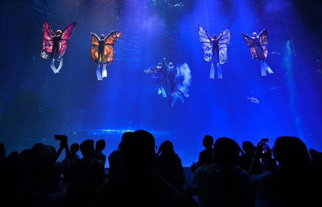 海南陵水：惬意错峰游