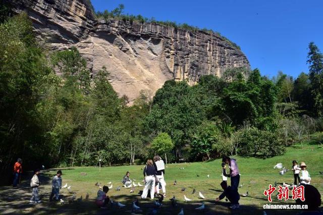 免门票政策持续发力 福建武夷山小众游受欢迎