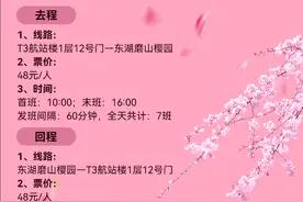 武汉天河机场往返东湖赏樱专线16日起运营：每天16班图片