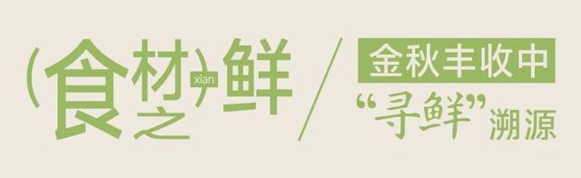 宝藏仙桃，太“鲜”啦！（采风招募）