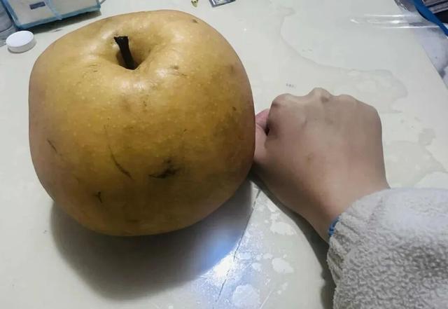 全网一致认定：最短的秋天，才是最贵的奢侈品