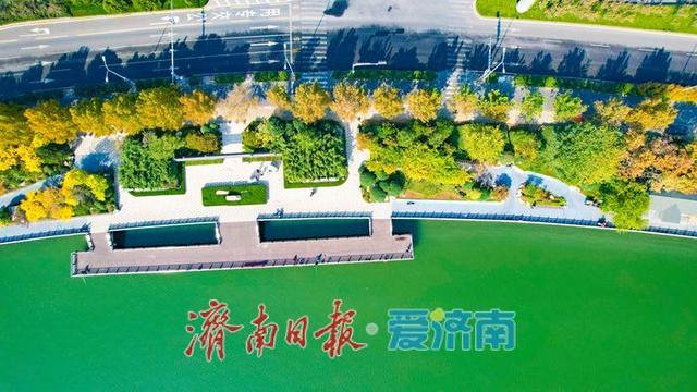 一年四季 泉在济南丨秋日晴空映碧水 河岸秋景漾诗意