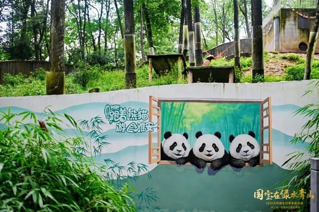 雅安又多了一处熊猫彩绘，你打卡了吗？