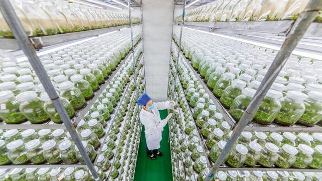 雁荡山的可持续叙事 浙江首次捧回“世界地质公园最佳实践奖”