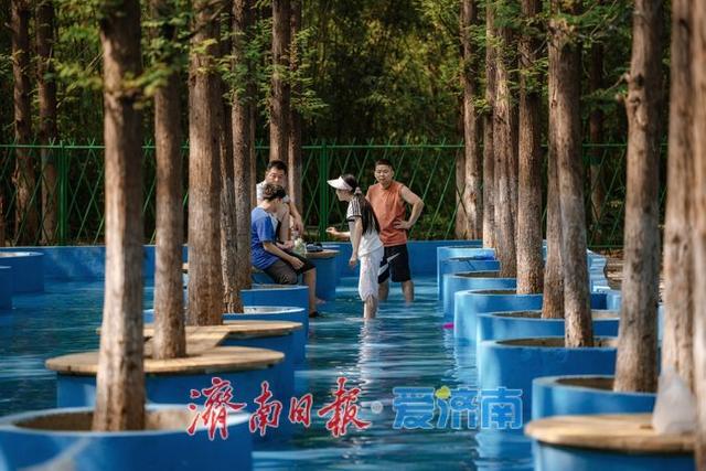 一年四季 泉在济南丨鲜花港杉林水乐园、杉水间营地开业,解锁夏日清凉潮玩法