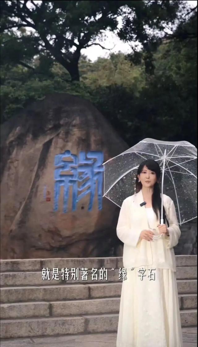 除了任嘉伦、陆毅、孟庭苇，还有谁在打卡青岛？快来get你的明星同款~