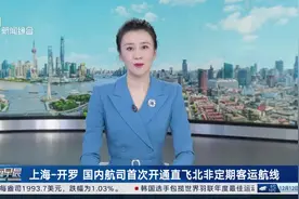上海-开罗 国内航司首次开通直飞北非定期客运航线图片