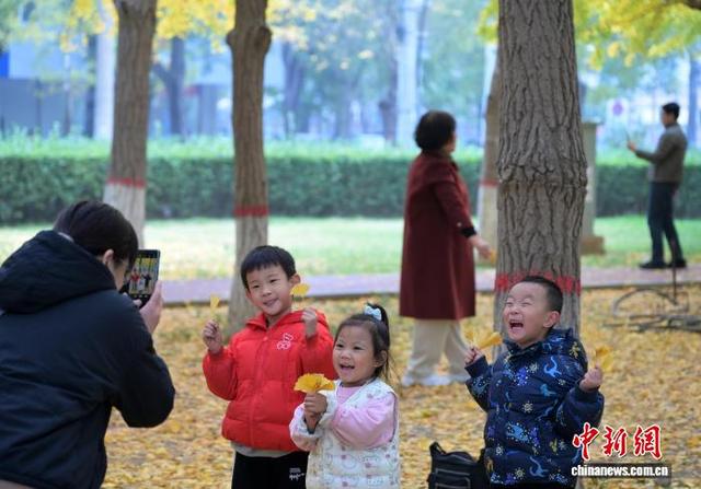 河北石家庄秋韵浓