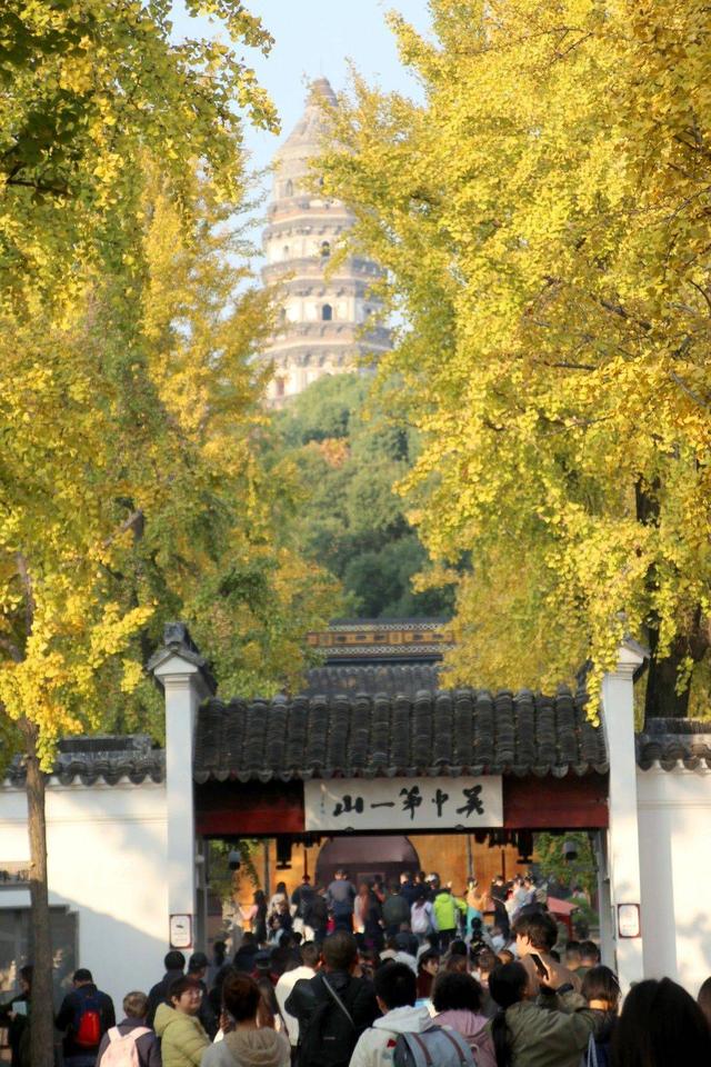 江苏苏州：游虎丘 赏银杏