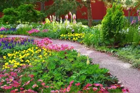 五一打卡北海公园！这4处绝美花境+神秘油菜花海藏不住了！图片