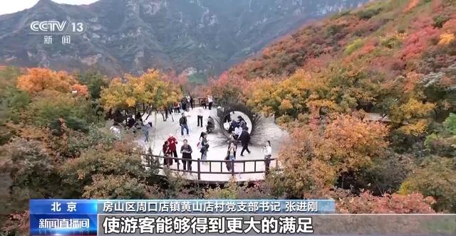 走，去北海公园一站式饱览京津冀豫“当家好菊”！