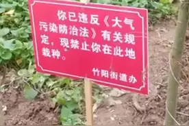 菜地被插“违反大气污染防治法”告示牌？四川一街道办回应图片
