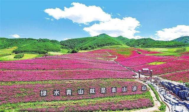 且以诗意共远方 ——武威市文旅产业高质量发展综述