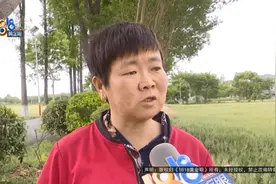 散步被三轮车撞晕，月薪两千女子称耽误上班索赔10万：误工费、陪护费都要赔的图片