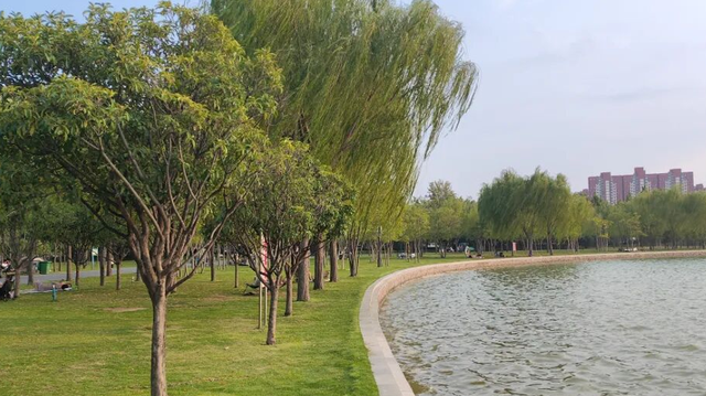 全部免费！郑州适合一家人一起去的公园推荐！