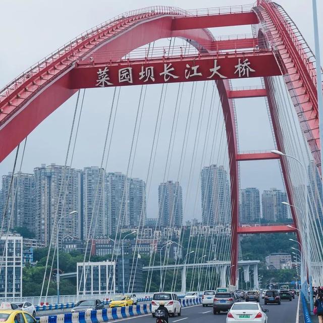 “走，带你去看沿途的风景”——南滨路“踩”城市心跳，用一万步捞同频搭子